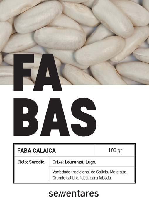 Haba galaica