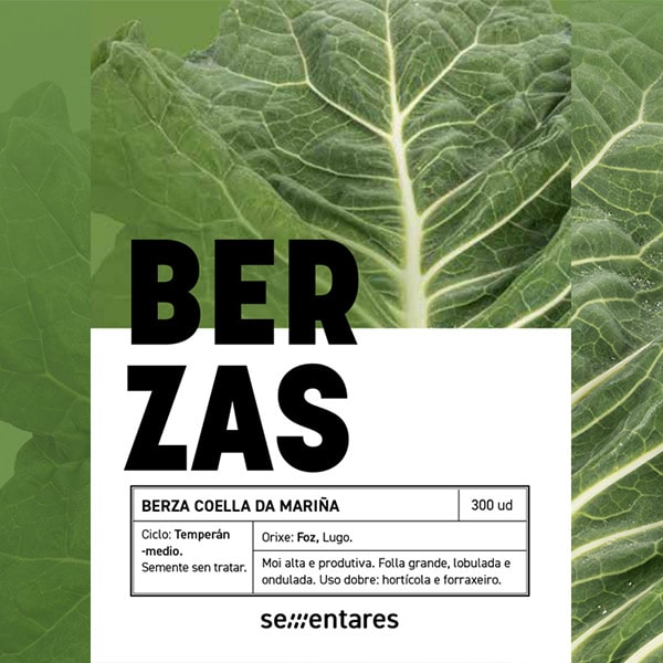 Berza coella de la marina