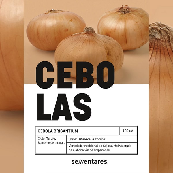 Cebolla brigantium