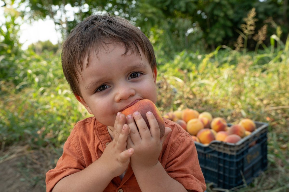 Abono Frutales