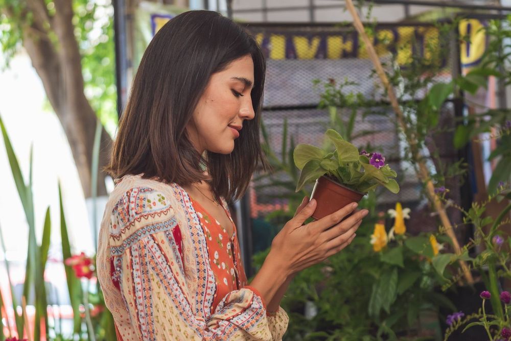 Abono Macetas y Jardineras