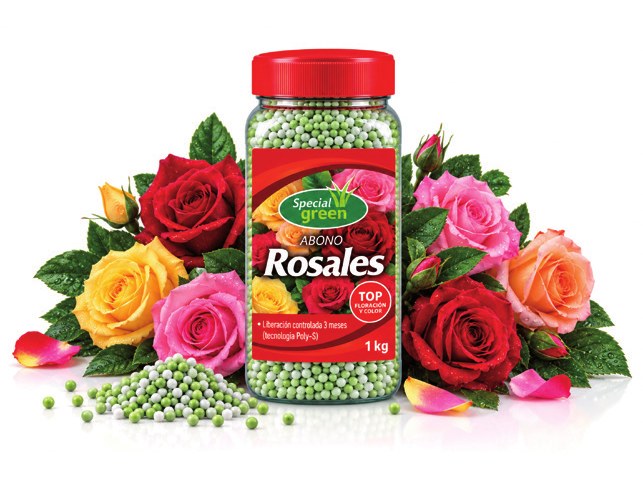 Abono Rosales